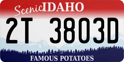 ID license plate 2T3803D