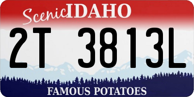 ID license plate 2T3813L