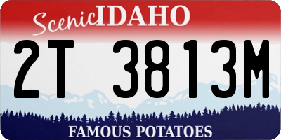 ID license plate 2T3813M
