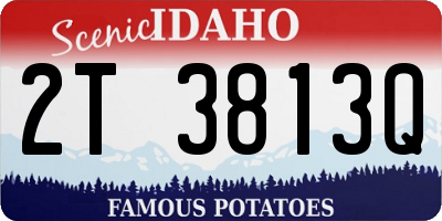 ID license plate 2T3813Q