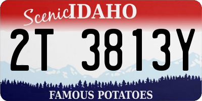 ID license plate 2T3813Y