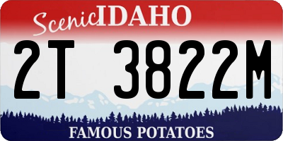 ID license plate 2T3822M
