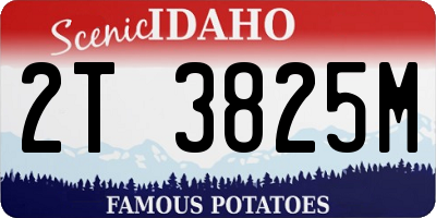 ID license plate 2T3825M