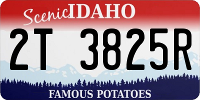 ID license plate 2T3825R
