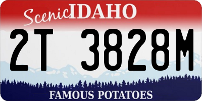 ID license plate 2T3828M