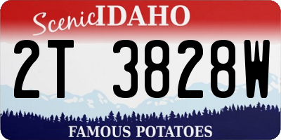 ID license plate 2T3828W