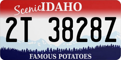 ID license plate 2T3828Z