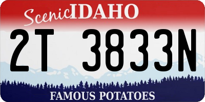 ID license plate 2T3833N