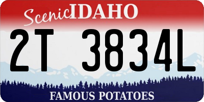 ID license plate 2T3834L