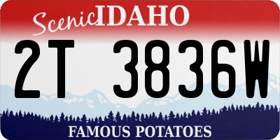 ID license plate 2T3836W