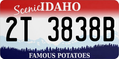 ID license plate 2T3838B