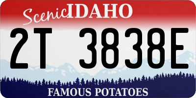 ID license plate 2T3838E