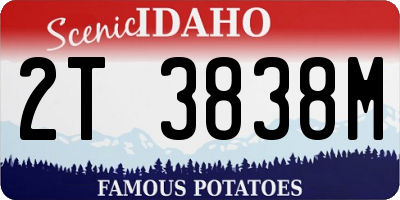 ID license plate 2T3838M