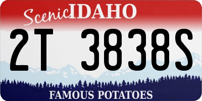 ID license plate 2T3838S