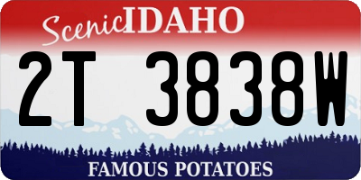 ID license plate 2T3838W