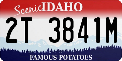 ID license plate 2T3841M