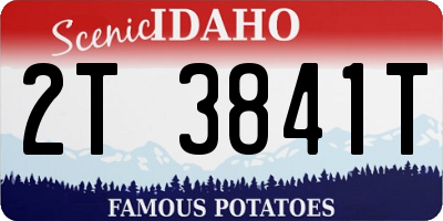 ID license plate 2T3841T