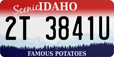 ID license plate 2T3841U