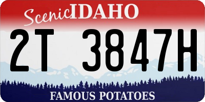 ID license plate 2T3847H