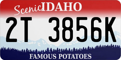 ID license plate 2T3856K