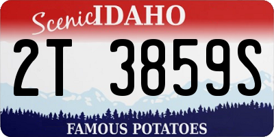 ID license plate 2T3859S