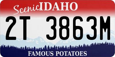 ID license plate 2T3863M