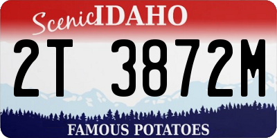 ID license plate 2T3872M