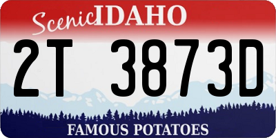 ID license plate 2T3873D