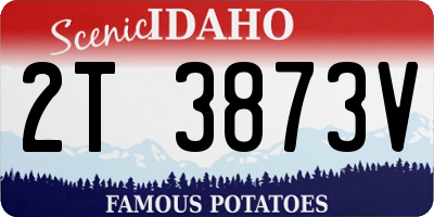 ID license plate 2T3873V