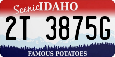 ID license plate 2T3875G