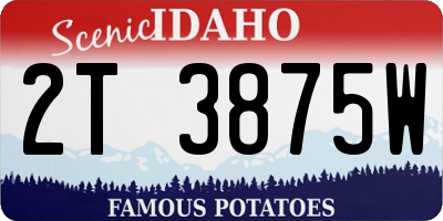 ID license plate 2T3875W