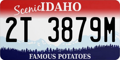 ID license plate 2T3879M