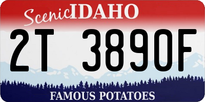 ID license plate 2T3890F