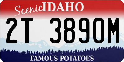 ID license plate 2T3890M