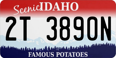 ID license plate 2T3890N