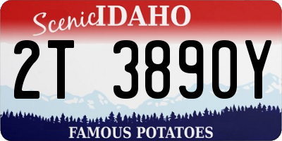 ID license plate 2T3890Y