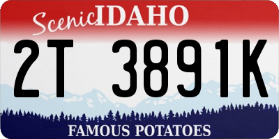 ID license plate 2T3891K