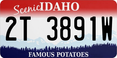 ID license plate 2T3891W