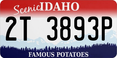 ID license plate 2T3893P