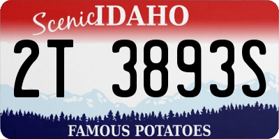 ID license plate 2T3893S