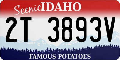 ID license plate 2T3893V