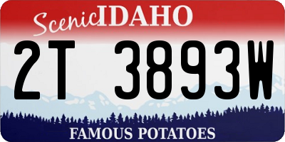 ID license plate 2T3893W