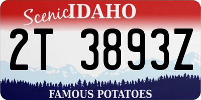 ID license plate 2T3893Z