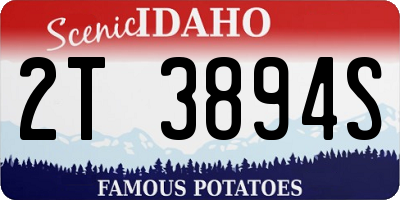 ID license plate 2T3894S