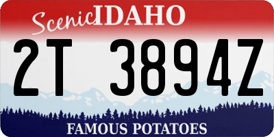 ID license plate 2T3894Z