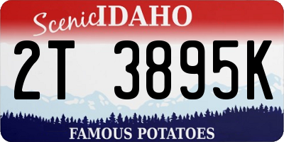 ID license plate 2T3895K
