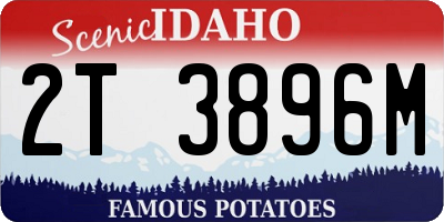 ID license plate 2T3896M
