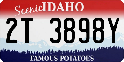 ID license plate 2T3898Y