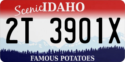 ID license plate 2T3901X