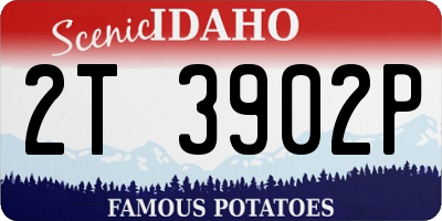 ID license plate 2T3902P